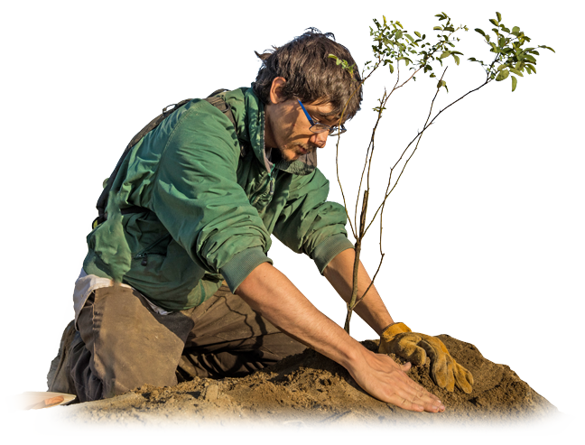 RP-2024-AR-Map-PlantingGuy-flipped
