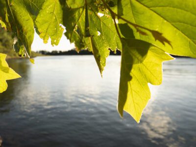 Dos Rios Ranch Preserve - River Partners