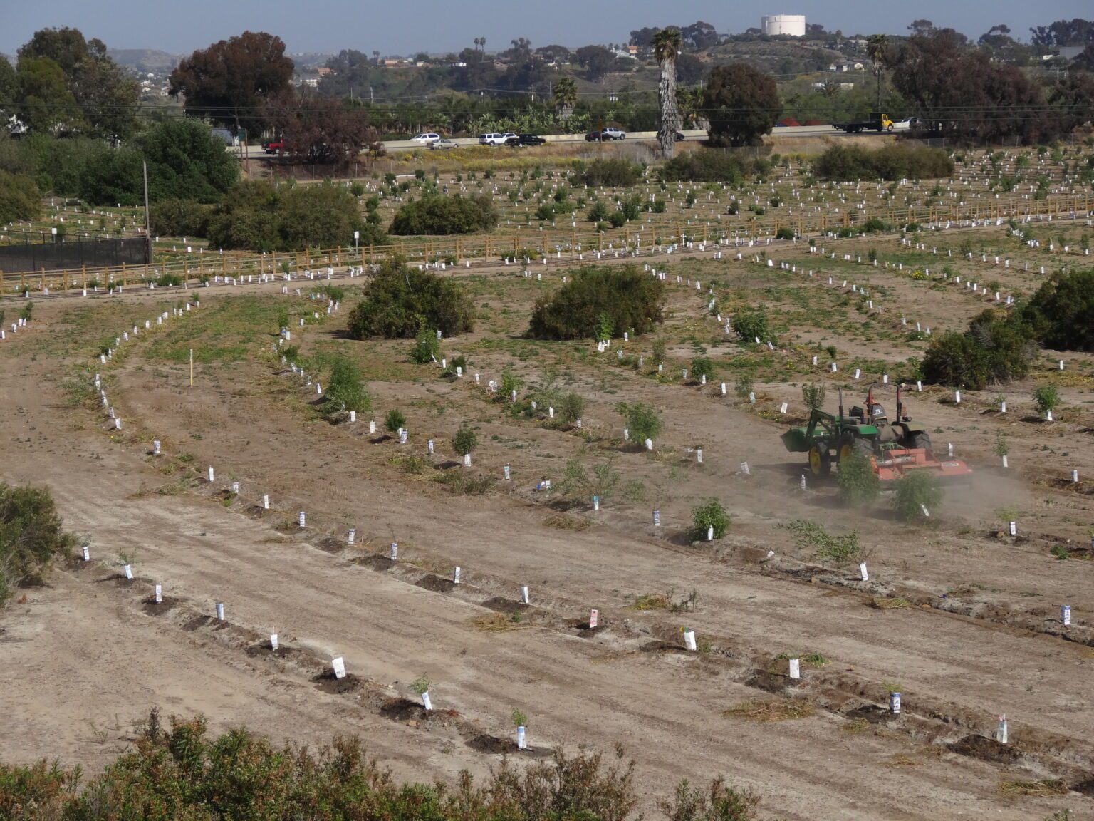 51385849487_dc550b082d_5k