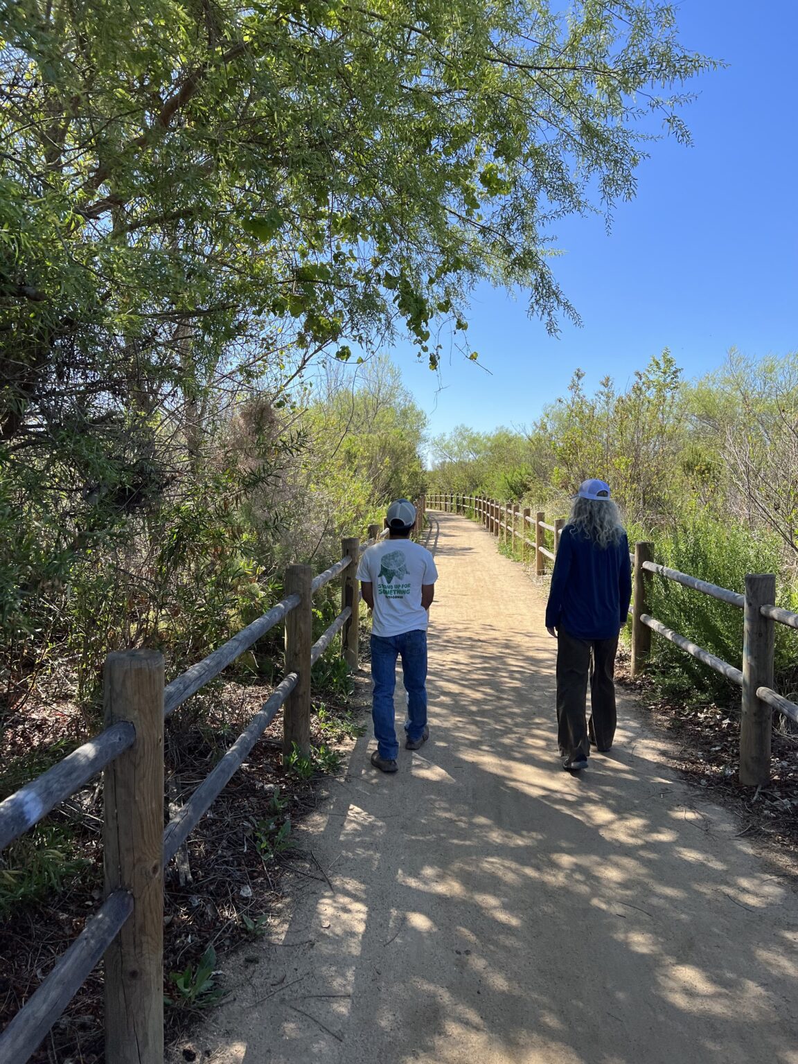 51976286609_fdac6b55f9_4k