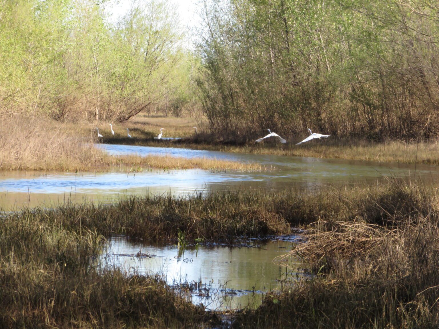 Bear-River-Swale-2016-scaled