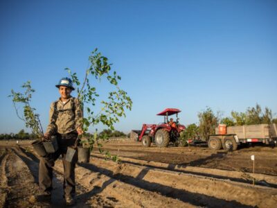 Planting a Resilient Future