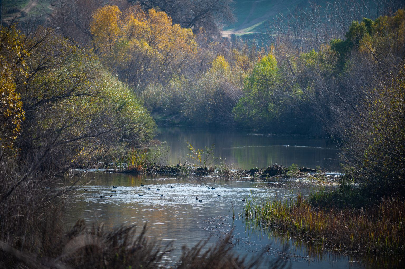 51812719546_7878028014_6k