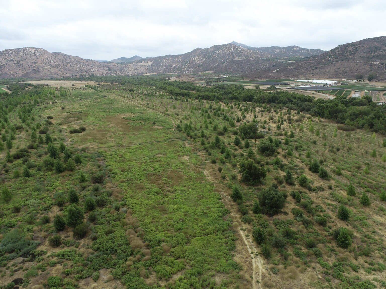 51927211814_be23e95f30_k