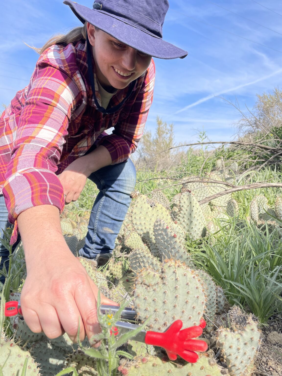 51928703278_62b6528ac5_4k