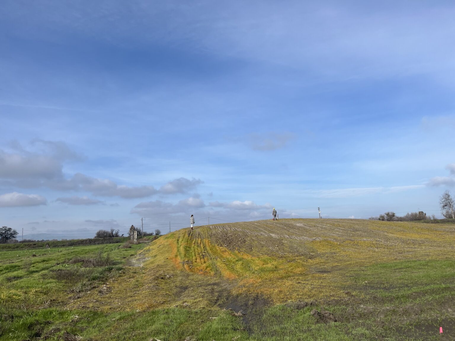 53525342169_82f8988806_o