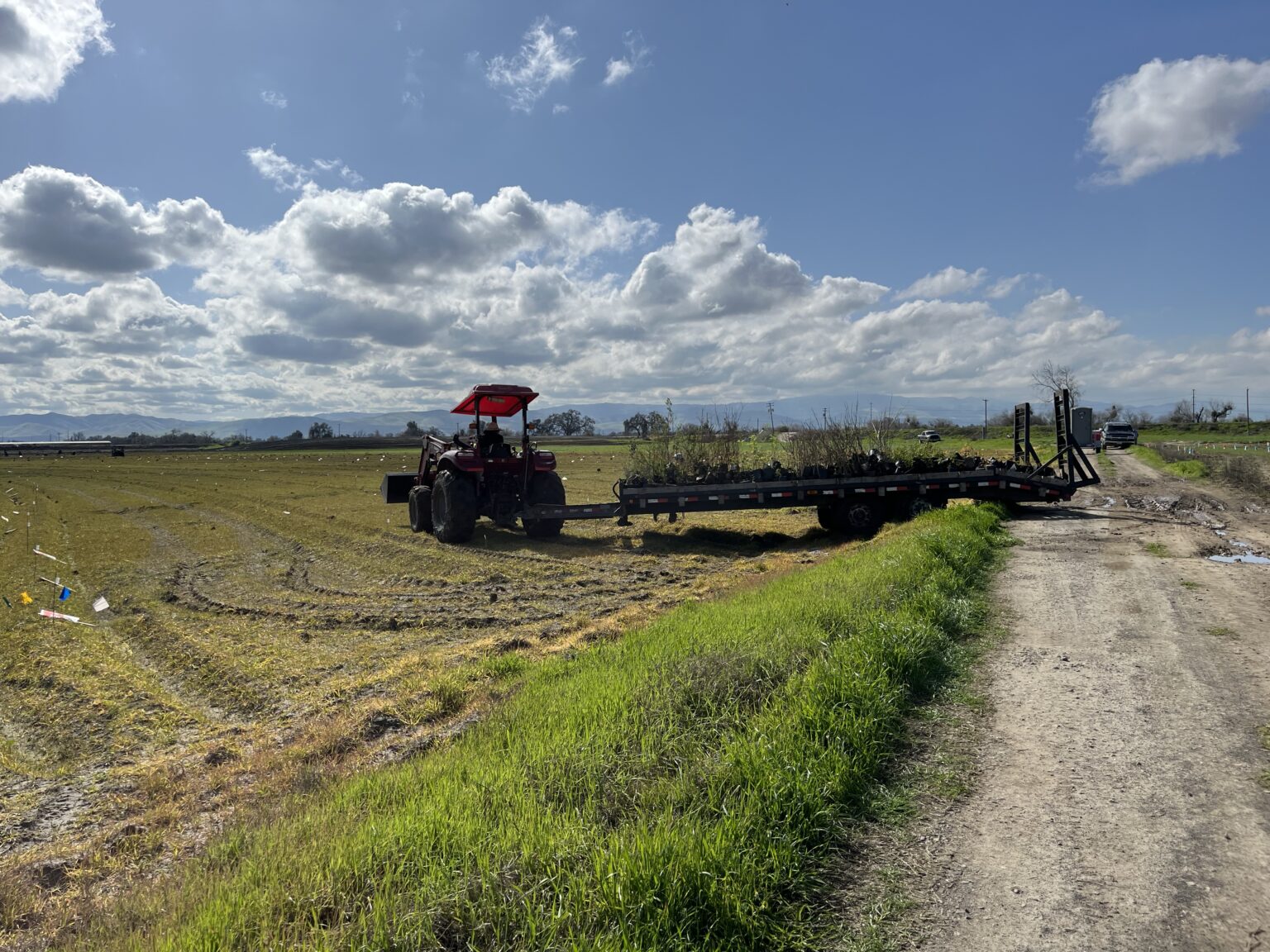 53548356514_9efe720216_o