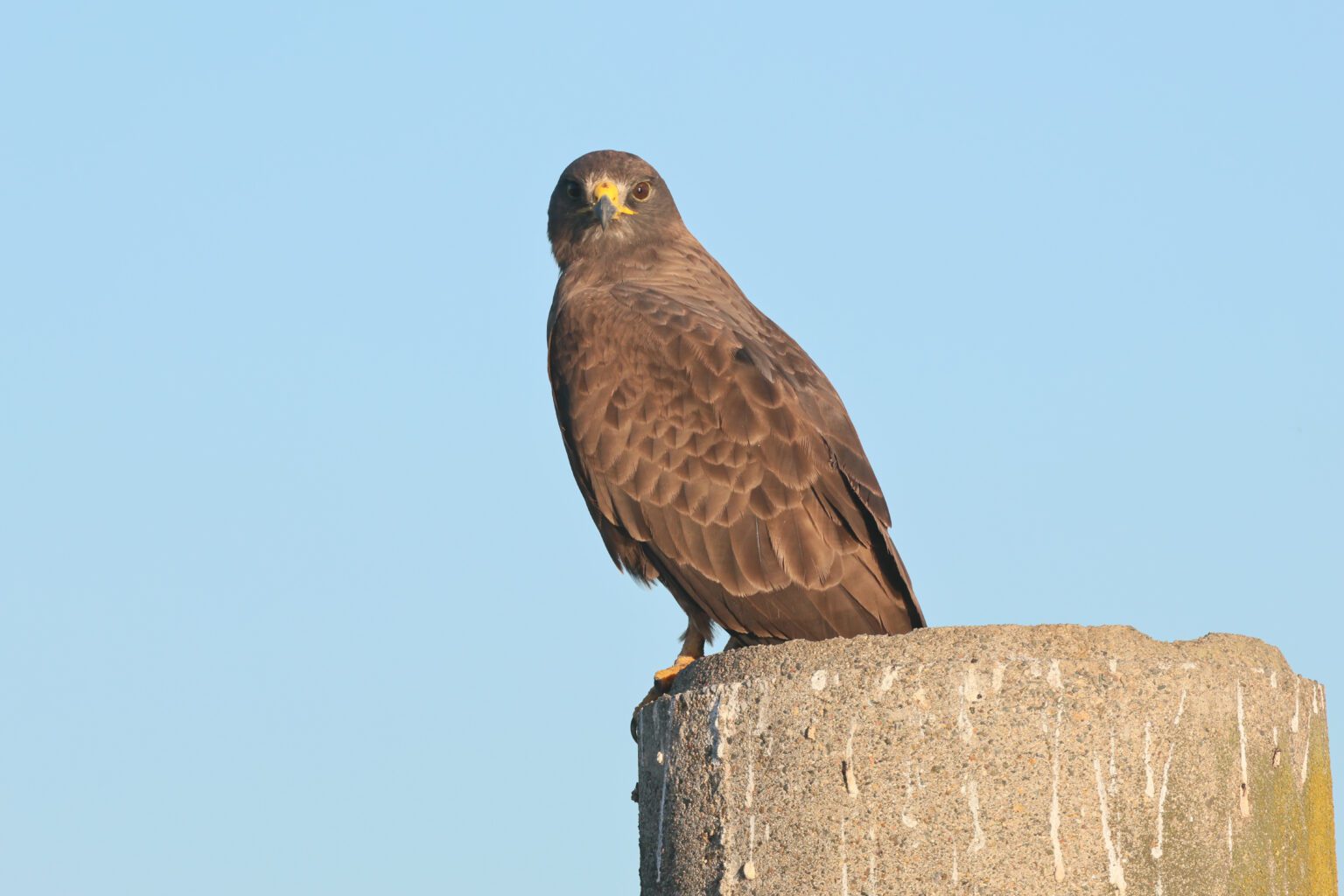 53760640606_ffb49b833c_o