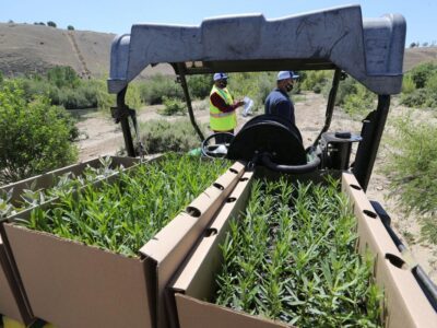 Plantings arrive at local preserve, part of larger plan to bolster population of monarch butterflies