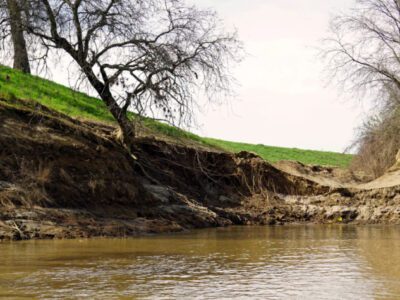 Where Levees Fail In California, Nature Can Step In To Nurture Rivers