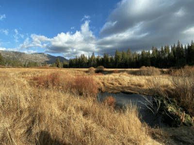 Wildlife Conservation Board Funds Environmental Improvement and Acquisition Projects