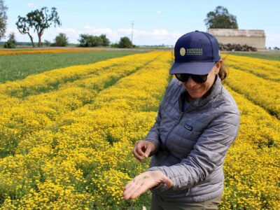 Breaking the Bottleneck of Native Seed Supply