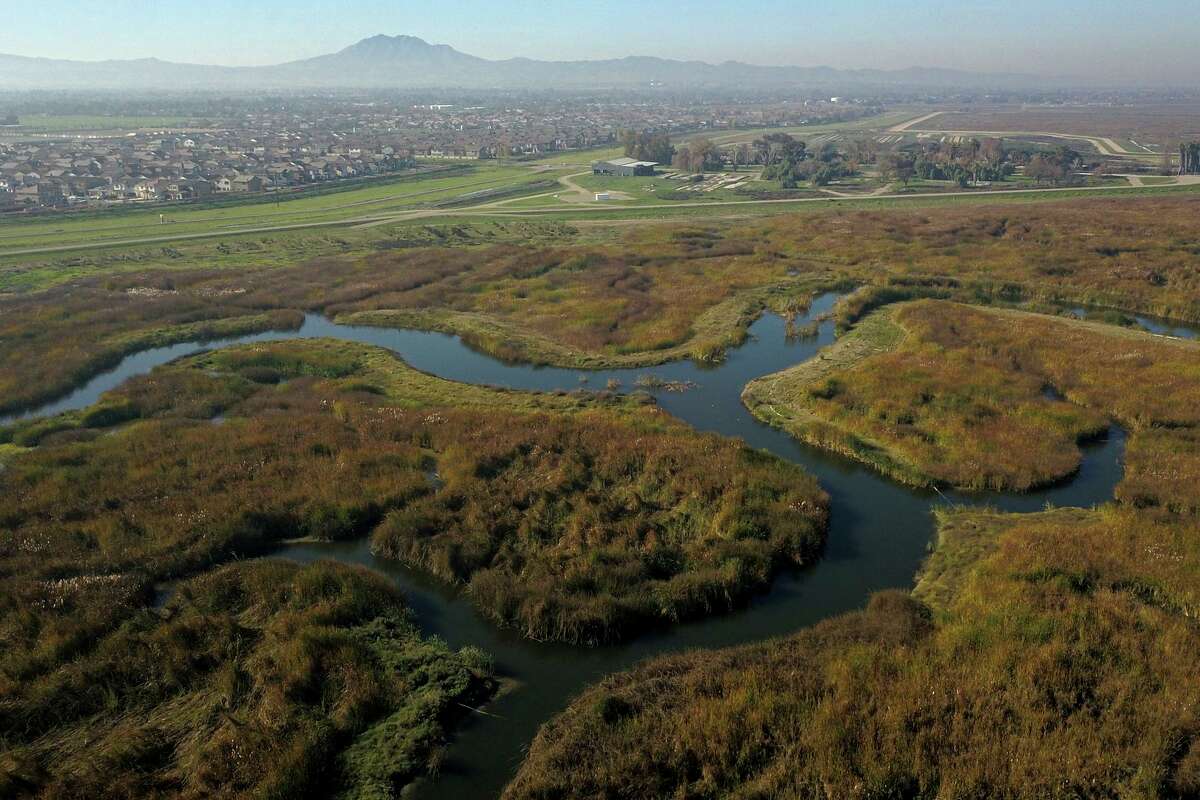 Wetlands can be seen at Dutch Sough with Mt. Diablo in the background near Oakley where wetlands are undergoing a state-funded project to restore its habitat and diverse ecosystems.