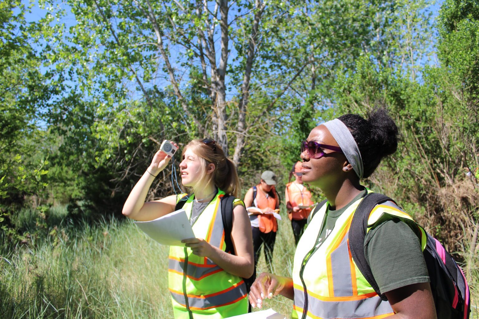 51342818692_886baa6ee5_k