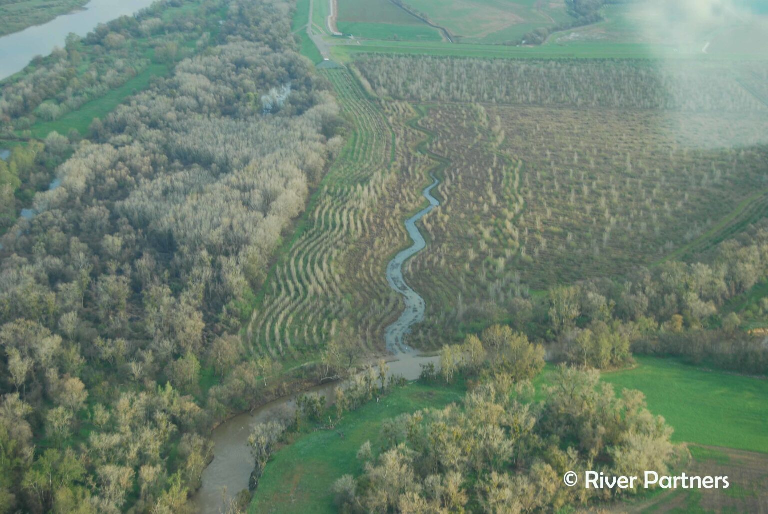 51442964961_167fd0213a_4k