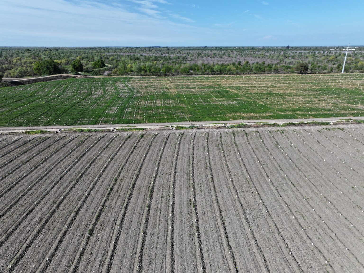 Restoring Floodplain Jewel in Heart of San Joaquin Valley Nears ...