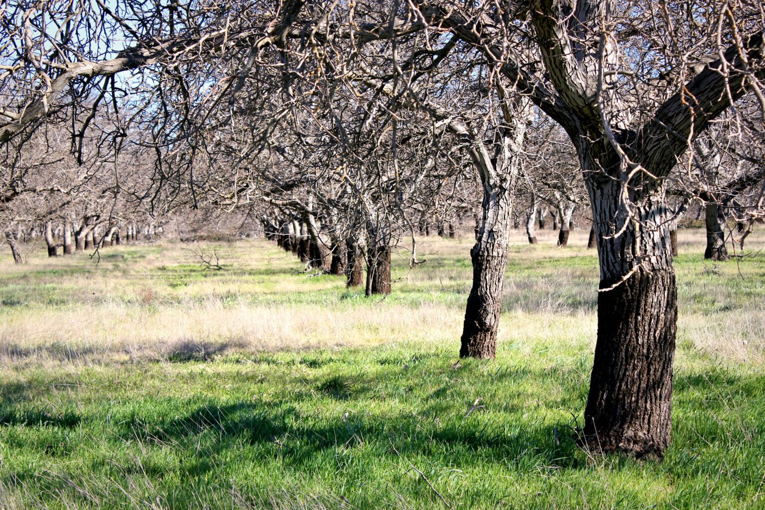 51926643469_525ae86aad_5k