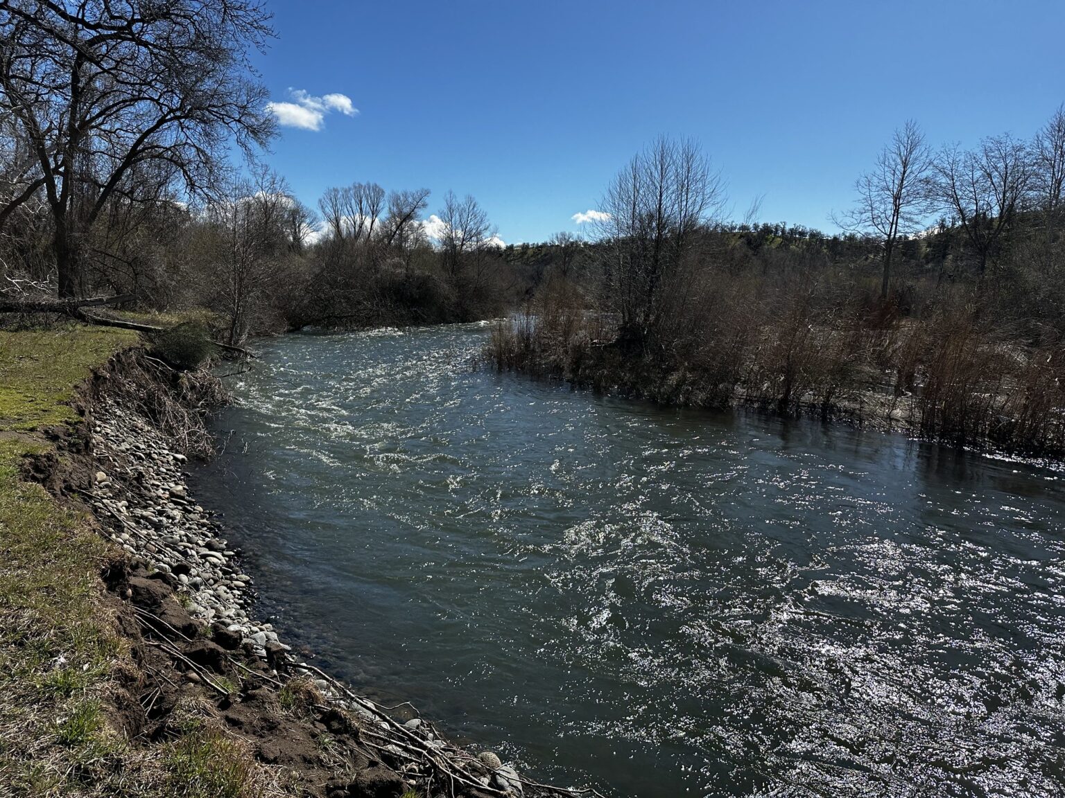 52736412852_bbbf921f5b_k