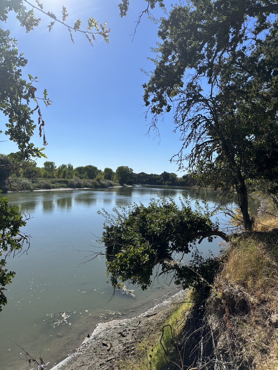 53583174987_4556769070_o