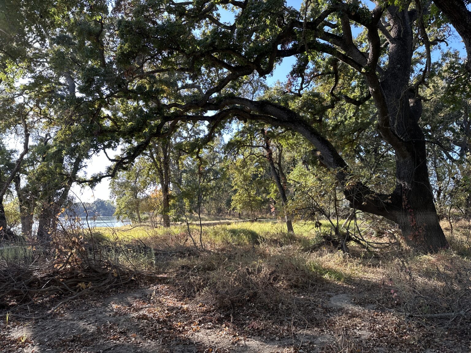 53584258203_619d4397bc_o