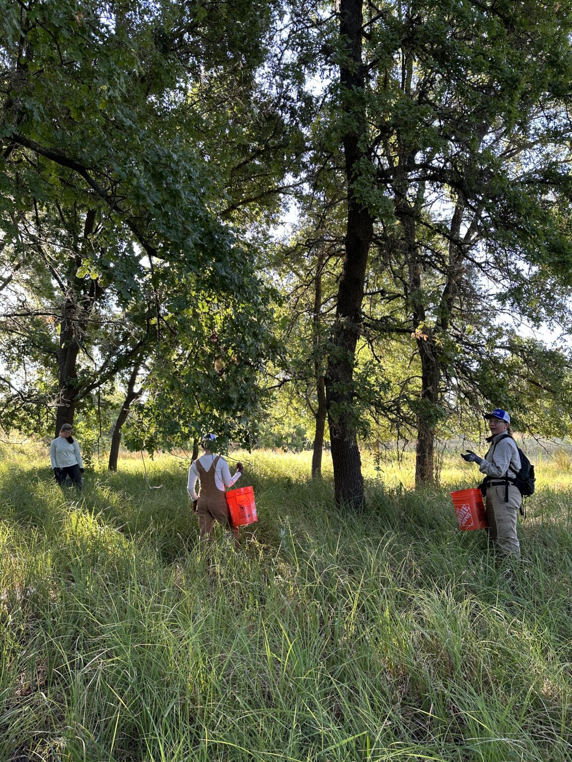 53866330484_056fde3c2e_o