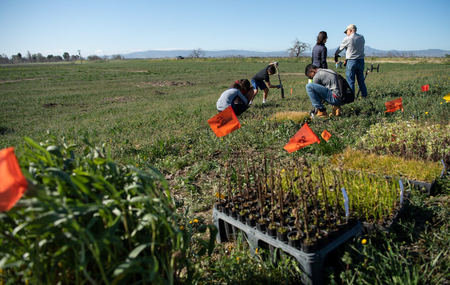 KJ_Dutch_Slough_Planting_0234_02_29_20