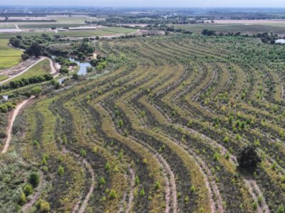 Restoring California’s Lost River Forests