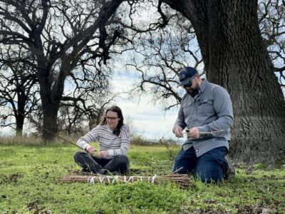 What A Single Plant Reveals about Healing Land and Culture