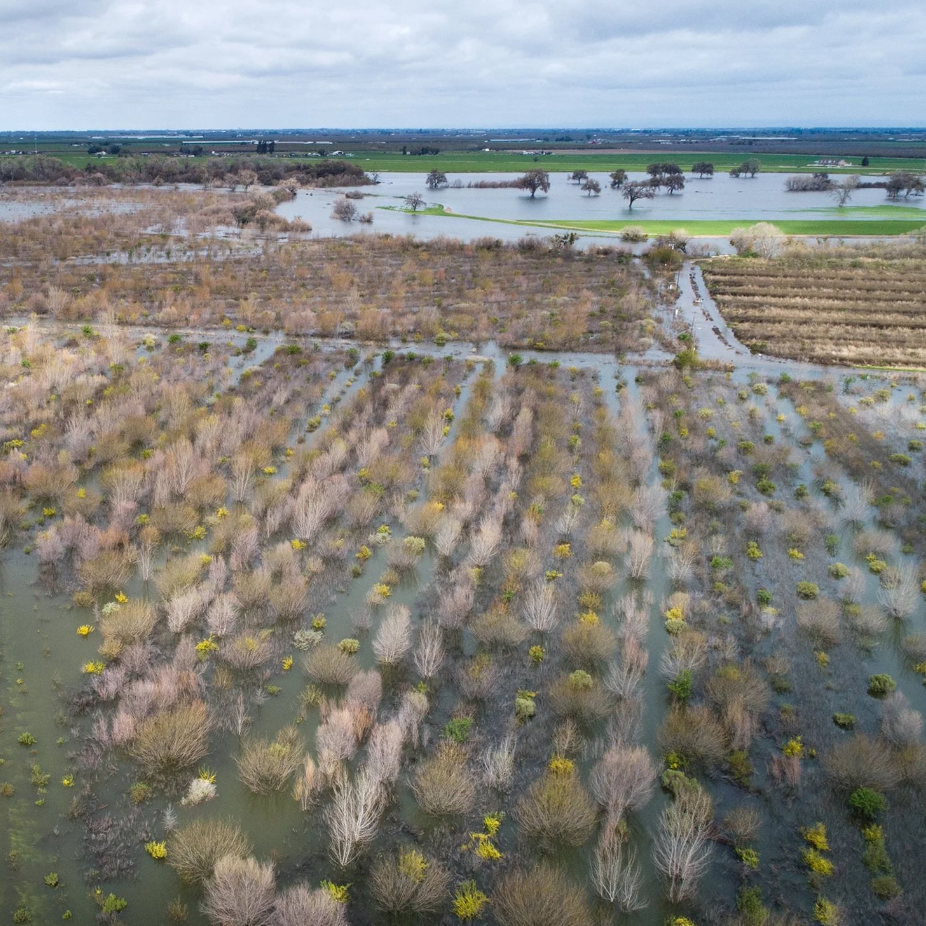 Dos Rios Partners More than A Park: One Year at Dos Rios - River Partners