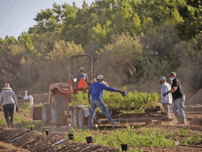 Watch: Hope in Action