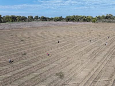 Public-Private Partners Lead Critical Riverway Habitat Expansion in San Joaquin Valley