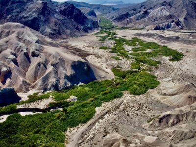 The Global Importance of Restoring the Amargosa River Basin