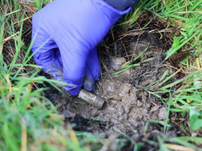 What Lives in a Teaspoon of Soil? eDNA Research Is Revealing the Hidden Life Driving Restoration Success