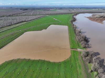 Celebrating Restoration Built to Protect a Flood-Prone Town