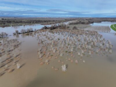 California Could Collide with a “Very Significant El Niño Event”